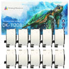 DK-11208 38mm x 90mm White Standard Address Labels compatible with Brother P-Touch - Printing Pleasure